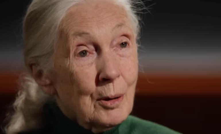 Netflix’s ‘Famous Last Words’ Airs New Episodes As Interviewed Subjects Die